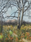 After The Fire