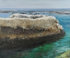Bird Rock II 