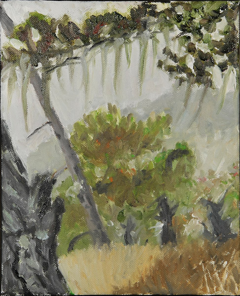 Fog, Swanton Road  8 x 10 $95