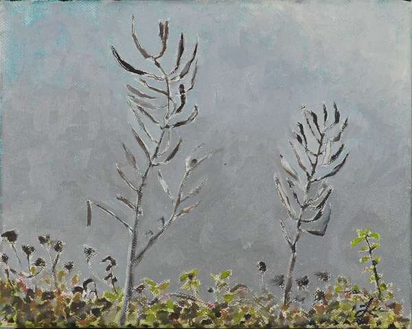 Scott’s Creek Seed Pods 10 x 8 $100 SOLD