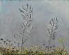 Scott’s Creek Seed Pods 10 x 8 $100 SOLD